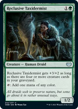 VOW - Reclusive Taxidermist