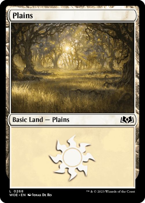 WOE - Plains 0268