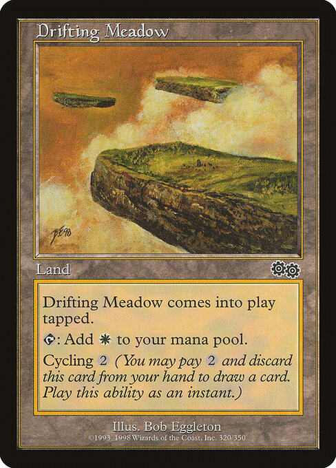 Drifting Meadow - Magic: The Gathering USG #320