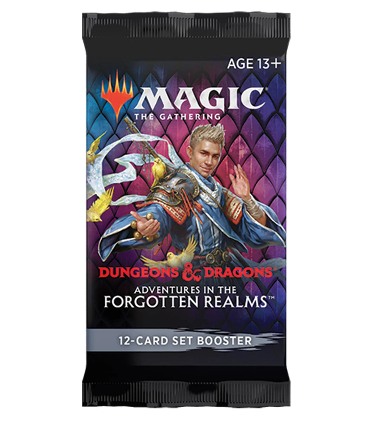 MTG - Dungeons & Dragons Adventures in the Forgotten Realms Set Booster Pack