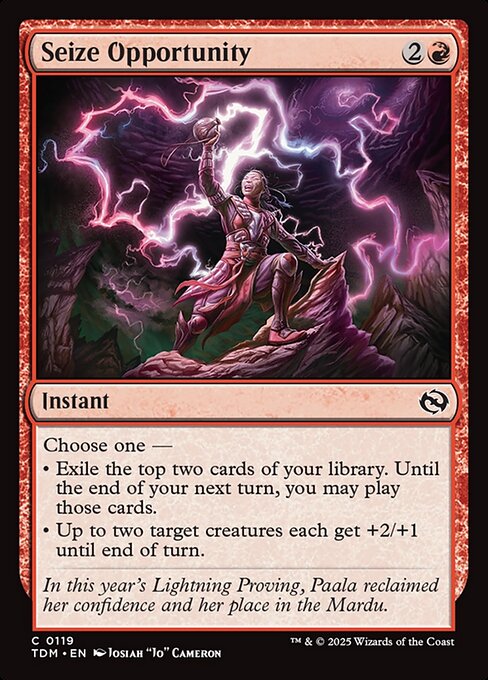Seize Opportunity - Magic: The Gathering TDM #119