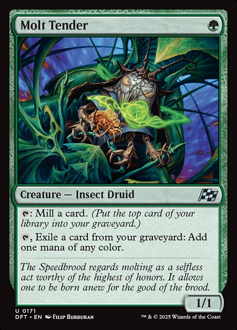 Molt Tender - Magic: The Gathering DFT #171