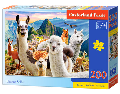 Puzzle Castorland