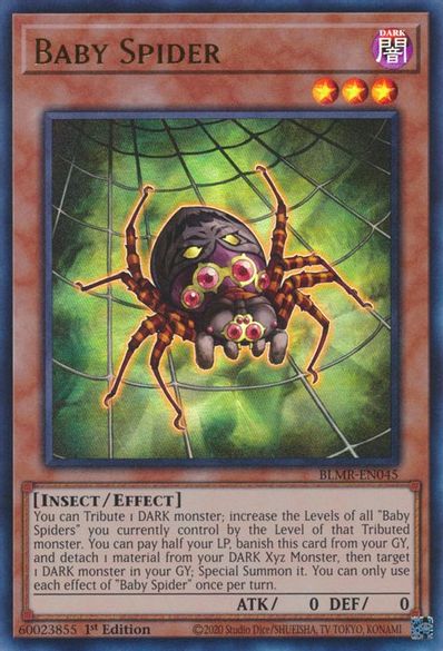 Baby Spider - BLMR-EN045